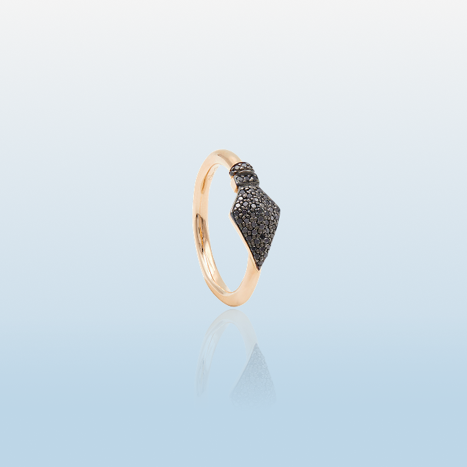 ENKAI RING